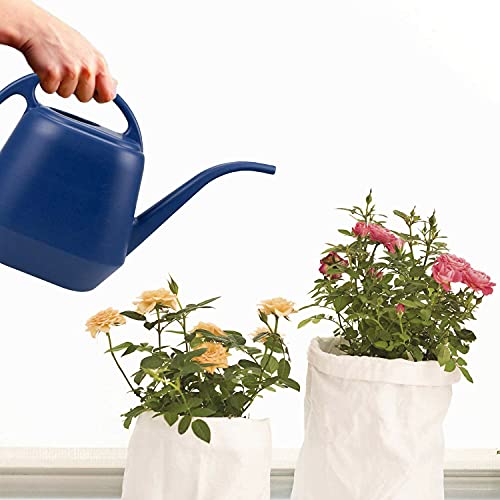 Fasmov Plastic Watering Can, 1-Gallon, Blue #TOP5