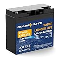 GOLDENMATE 12V 20Ah Lithium LiFePO4 Deep Cycle Battery, Rechargeable Battery Up to 2000-7000 Cycles, Built-in BMS, Lithium Iron Phosphate for Solar, Marine, Energy Storage, Off-Grid Applications
