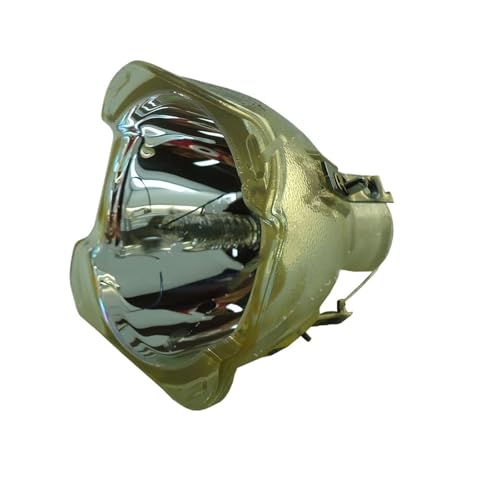 Lampe de projecteur adaptée à Benq Mx717 Mx763 Mx764 ampoule de remplacement 5j J4n05 001