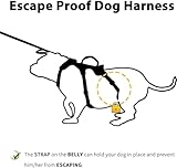 Huntboo Escape Proof Dog Harness Medium, Anti-Pull Dog Harness with Handle, Breathable, Adjustable Dog Harness Small, Reflective Harnesses for Large Dogs Outdoor, Walking, Training（Black, L） - Image 3