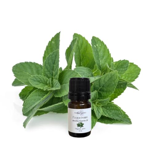 Aceite Esencial de Menta, Orgánico, Puro, 5 mL