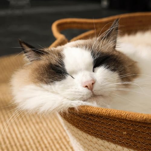 Nid douillet tissé pour chat avec matelas coton déhoussable