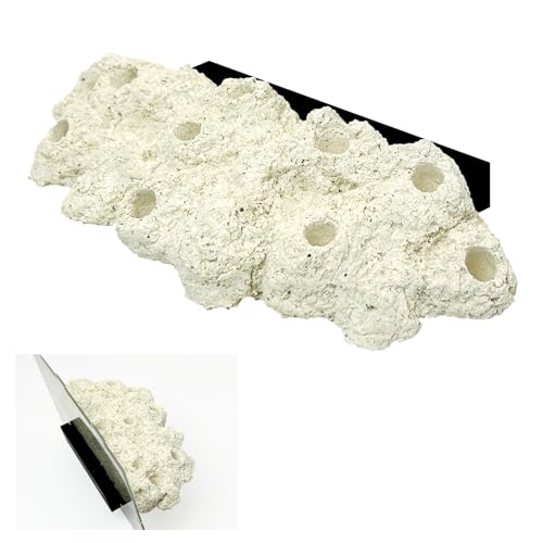 KFPSHLQE Magnetic Coral Frag Rack,Frag Racks for Reef Tank,Magnetic Reef Coral Frag Rack Floating Rock,Rock for Saltwater Aquariums,Fish Tank Decorations,Strong Magnets for 1/2