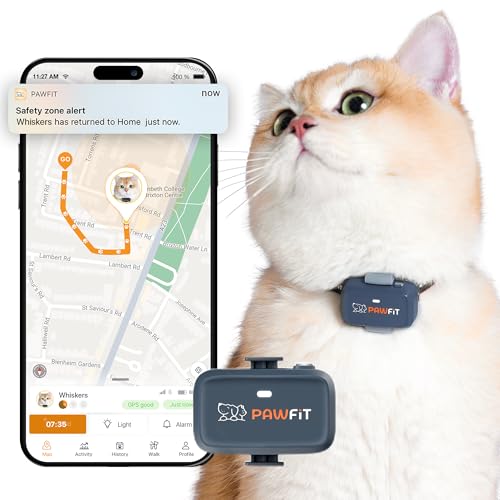 Pawfit Localizzatore GPS Lite for Cats 4g | Monitoraggio in tempo reale | Monitoraggio dell'attività | Cronologia delle posizioni | Portata illimitata | Collare di sicurezza incluso | Grigio antracite