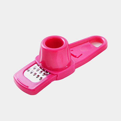 1Pcs Multi Functional Ginger Garlic Grinding Grater Planer Slicer Mini