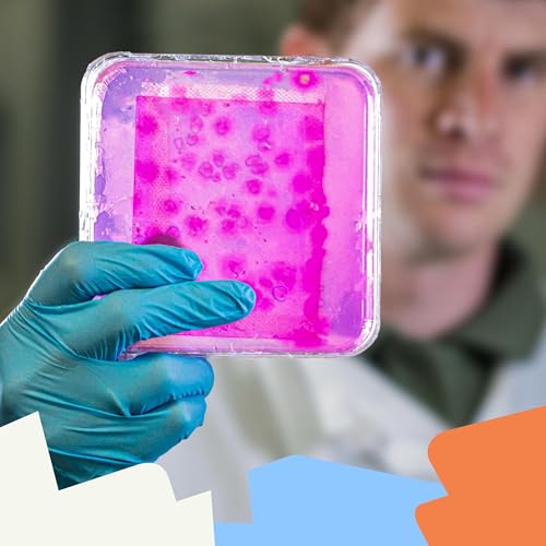 What happens when fungi find their way into our brains?