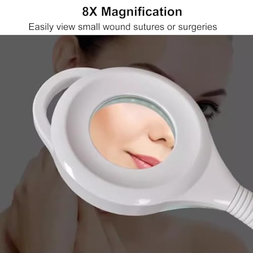 Lampe d'examen médical à LED mobile avec col de cygne et loupe 8X