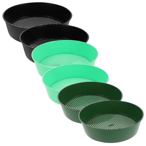 lurrose 6 |pvX`bNyӂ邢 eʃbVyӂ邢p ƌ