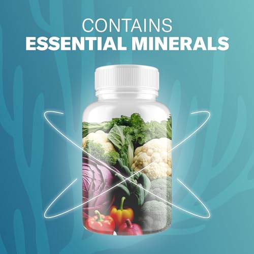 TrueSeaMoss Sea Moss Capsules (1600mg, 120 ct) — view 3