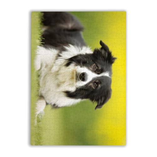 500s[X WO\[pY {[_[ R[ ؐ̃pY  mߋ q A[gpY SҌ lC Puzzle Ǐ  a v[g Mtg [P[Xt