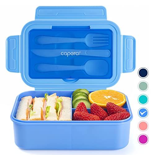 Best Lunch Container Top Picks for a WellPacked Meal Totally Reviewed
