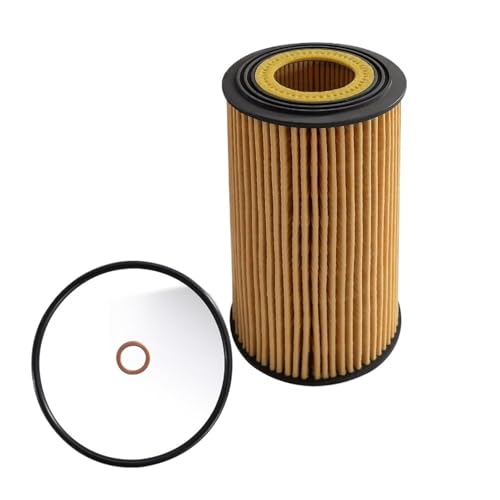 Filtro de aceite 11427510717 para motor BMW E38 E39 y X5 E53