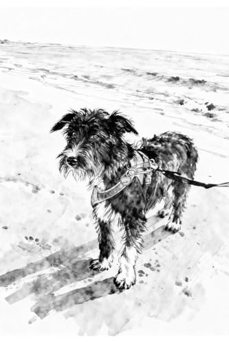 Urlaub mit Hund: 50 traumhafte Reiseziele, die du mit Vierbeiner besucht haben musst