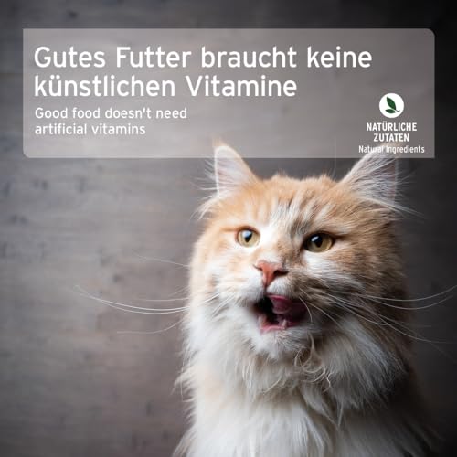 AniForte Fine Turkey Nassfutter für Katzen 6 x 400 g – Katzenfutter nass mit viel Truthahn & Gemüse, natürliches Futter für Katzen, Katze Nassfutter getreidefrei, hoher Fleischanteil
