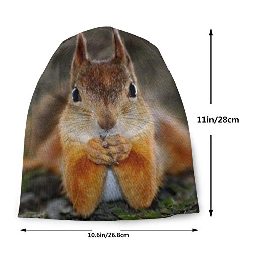 Funny Squirrel Slouchy Knit Cuffed Beanie Hat For Men Women Winter Ski Skull Cap Black #TOP1