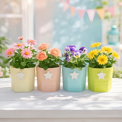 Image of Xtore Playful Textured Ceramic Planter Set of 4 with Star Accent | Colorful Indoor Pots for Desk, Kids Room & Shelf Decor (Pack of 4, Planter only)