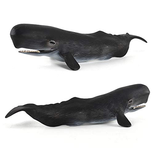 4 Pcs Ocean Sea Marine Animal Model Figures Turtle Whale Collection Collector Party Favors Playset Bath Cognitive Toys For Boys Girls Kid 5 6 7 8 Years Old #TOP3