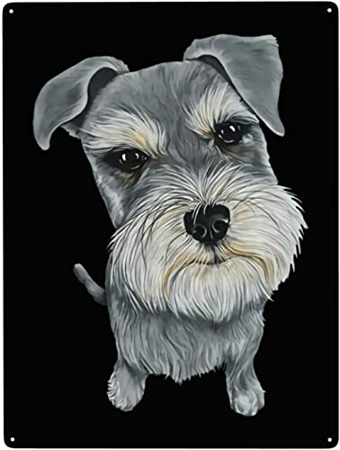 SAYGI  uLŔ ^v[g 킢 ViEU[  TC{[h JtF Xg X Ԍ oCN K[W  re[W CeA  30*40cm