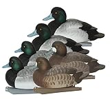 Avery PG Blue-Bills-Lesser Scaup (1/2 Dozen)