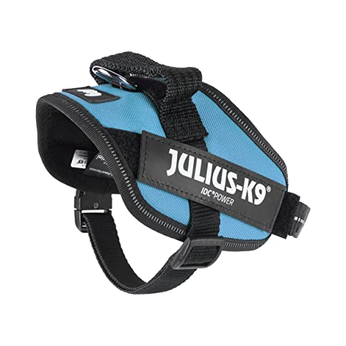 JULIUS K-9 IDC Powergeschirr, Größe: XS / Mini-Mini, Aquamarine, 16IDC-AM-MM