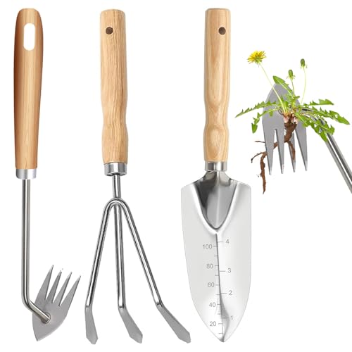 Hhaoysogd Gartenwerkzeug Set, 3 Teiliges Gartenhandwerkzeuge Klein Garden Tool Set mit Edelstahlschaufeln Unkrautstecher Harke für Pflanzen, Unkrautjäten, Rasenflächen und Gartenarbeit