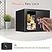 0.25 Cuft Small Fireproof Safe Box with Key Lock, Hidden Steel Security Box, Safe Lock Box for Cash, Jewelry, Passports and Medications, Fire proof Safes for Home Use, 9.06