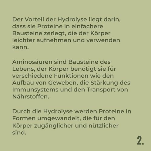 HANS Brainfood 90% Bio ULTRA fermentiertes Erbsenprotein Pulver cremig 1kg neutral - Veganes Proteinpulver cremig Mit Optimalem Aminosäurenprofil & Gut löslich - Bio Protein Pulver (1000g)