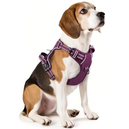 Image of HEELE Dog Harness for Medium Dogs No Pull Dog Vest Harness with Soft Padded Handle Reflective for Outdoor Training, Purple(Matching Trim), M