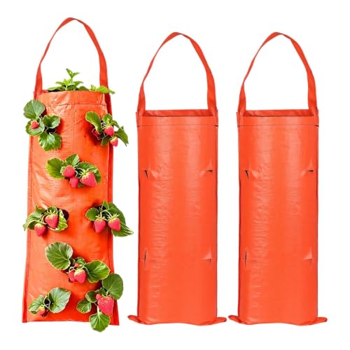 Diseño flotante transpirable para evitar plagas en plantas de tomate caseras 2