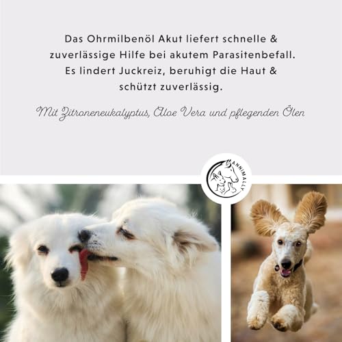 Ohrmilben Hund Akut hochwirksames Sofortmittel - Ohrmilbenöl gegen Juckreiz bei Ohrmilben und Grasmilben Hund - Ohrentropfen für Hunde mit Aloe Vera und Eukalyptusöl - Ohrentropfen Hund Entzündung