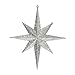 Vickerman 418024 - 12" Champagne Glitter Bethlehem Star Christmas Tree Ornament (2 pack) (M167438)