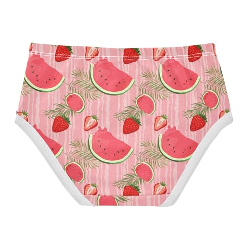 Watermelon Strawberry Toddler Girls's Underwear 2T 202c18652