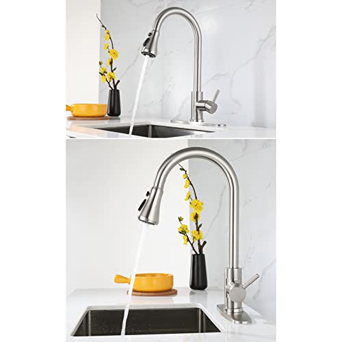 Grifos de cocina extraíbles de acero inoxidable cepillado con diseño comercial moderno 3