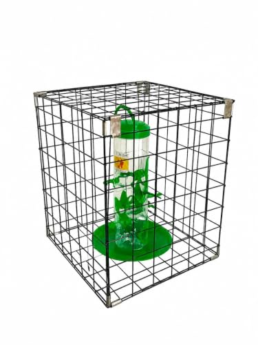 Image of Amijivdaya Pigeon & Parrot Proof Hanging Cage | Durable Rustproof Metal Bird Feeder Guard | Protective Outdoor Net Cage | Small Bird Safety Cover for Garden & Balcony Feeders