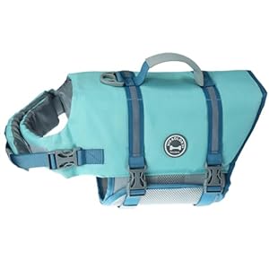 VIVAGLORY Ripstop Dog Life Jacket for Small Medium Large Dogs Boating, Dog Swimming Vest with Enhanced Buoyancy & Visibility, Cyan