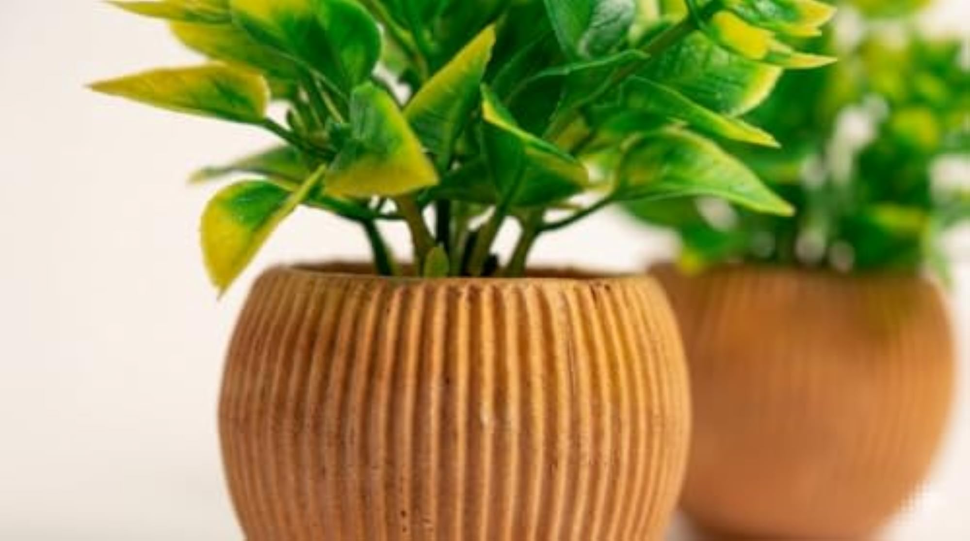 Artificial Plant Set of 2 with Pot for Home Décor