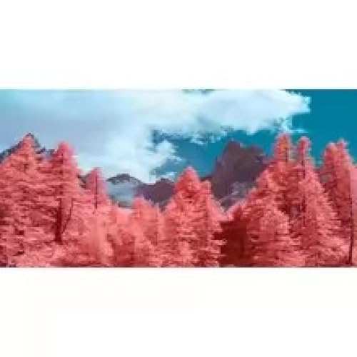 Toile paysage bleu corail rouge | Affiche ciel lac foret salon 70x140