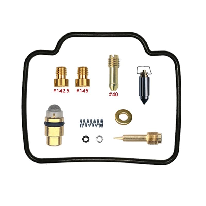 Kit reparación carburador Bearcat 454 para motor bicilíndrico años 1996 a 1998