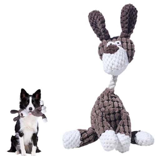 Lifetips {[_[ER[iBorder Colliej pʂ  XNC[J[ JVJV {AR[fC y v @OK ^ q VjA XgX p pʂ  XNC[J[