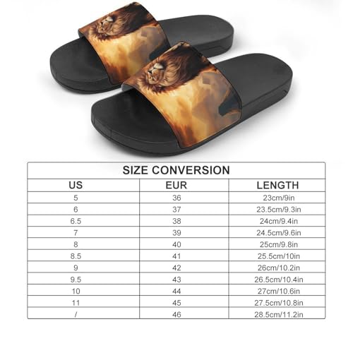 Lion King PVC Home Slippers Non Slip Shower Shoes Bathroom Slippers Sandals for Women Men2