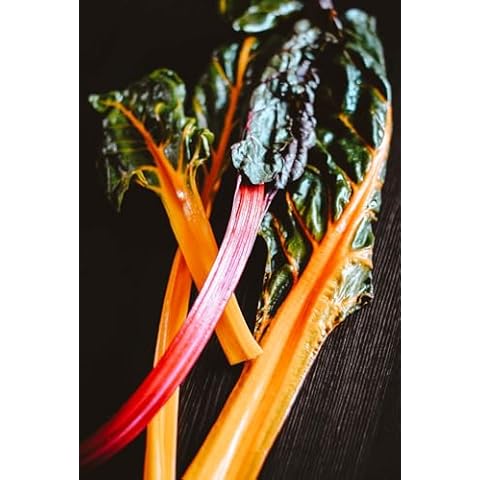 Heirloom Rainbow Chard Swiss Seeds - Beta vulgaris VAR. flavescens - B166 (120 Seeds, 2 Grams) Cover