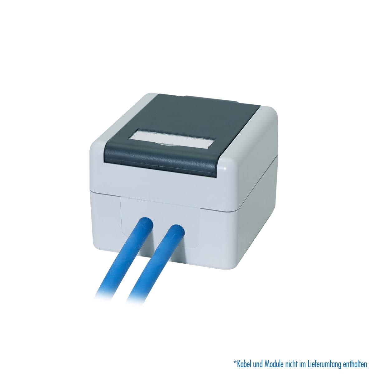 LogiLink Outdoor puszka natynkowa z pokrywą na zawiasach, do 2 x RJ45 CAT. 6A Keystone, ochrona IP44