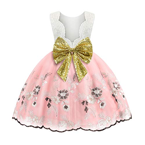 Toddler Baby Girls Pageant Lace Dresses Kids Child Birthday Prom Wedding Bridesmaid Party Performance Formal Princess Ball Gown Flower Dresses Size 4T 5T (Pink 120)