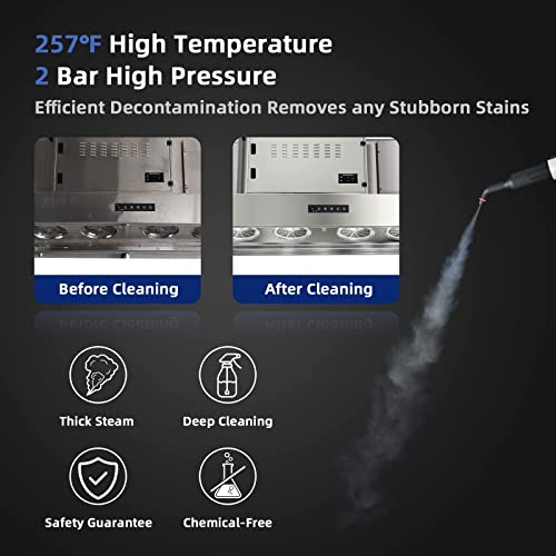 Goplus Multipurpose Handheld Steam Cleaner, Pressurized Steam Cleaner W/17 Pieces Accessory Set, 350Ml Portable Chemical-Free Steamer Mop For Home, Sofa, Upholstery, Car, Window, Kitchen, Bathroom, 1400W (Blue) #TOP2
