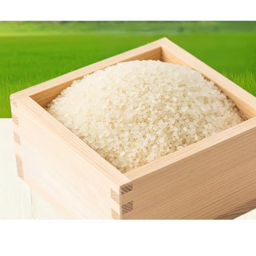 [定期便][令和8年産新米 定期便・先行予約]佐渡産コシヒカリ 2kg 全3回