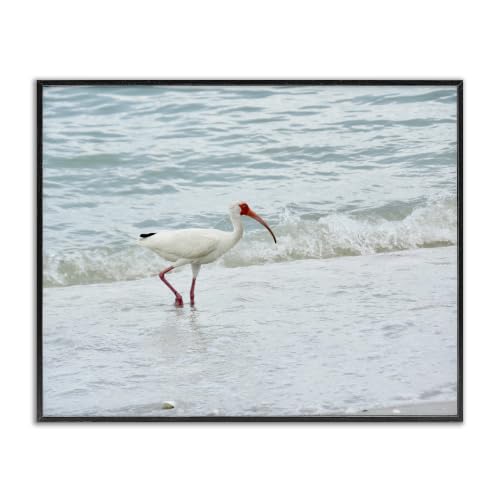 'Bird Stepping Sea Waves Splash'| Framed Giclee Art