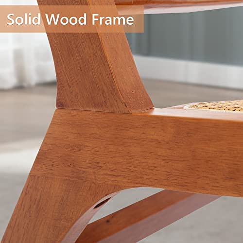 Anj Leather Accent Chair, Mid Century Modern Rattan Lounge Chair With High Back And Wood Frames, Boho Accent Chairs For Living Room Bedroom Balcony Patio #TOP5