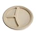 100% Compostable Disposable Paper Plates Bulk [10" 3-Comp 500 Pack] Bamboo Plates, Eco Friendly, Biodegradable, Sturdy Large Dinner Party Plates, Heavy-Duty, Unbleached by Earth