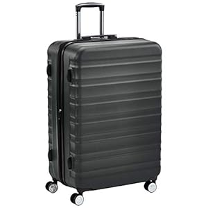 AmazonBasics 28-Inch, Grey