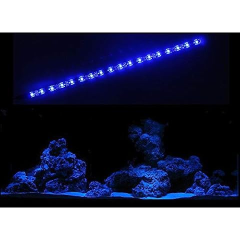 creative lights - Licht & Design Aquarium Mondlicht 30 cm LED LICHTLEISTE Komplettset INKL. NETZTEIL Flexi-Slim BLAU Cover